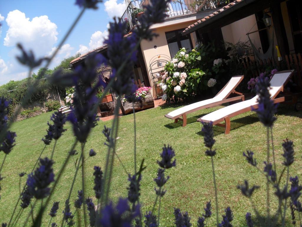 Agriturismo San Giacomo Pitigliano Pokój zdjęcie