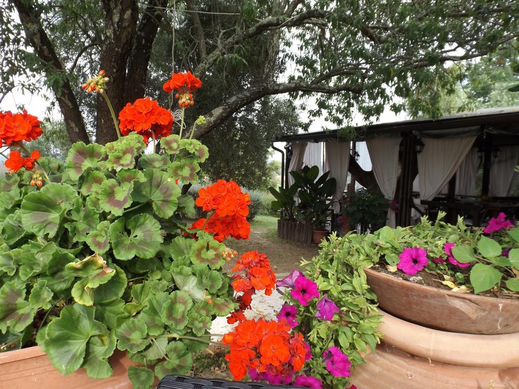 Agriturismo San Giacomo Pitigliano Pokój zdjęcie